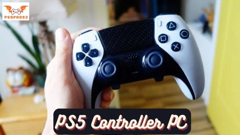 PS5 Controller PC